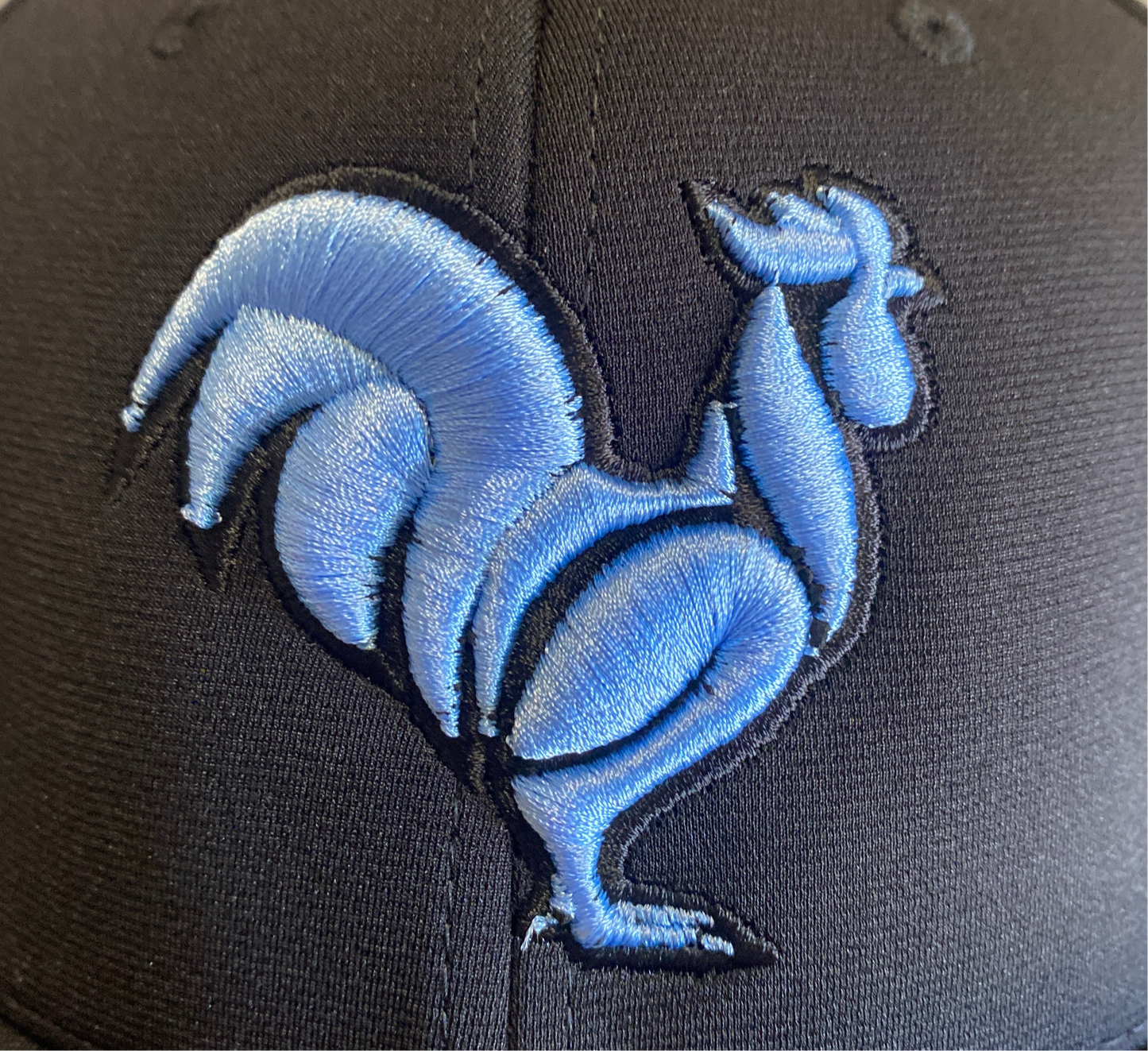Columbia blue on black