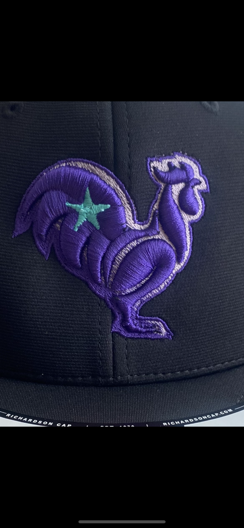 Black hat with purple rooster & ombré outline & teal star