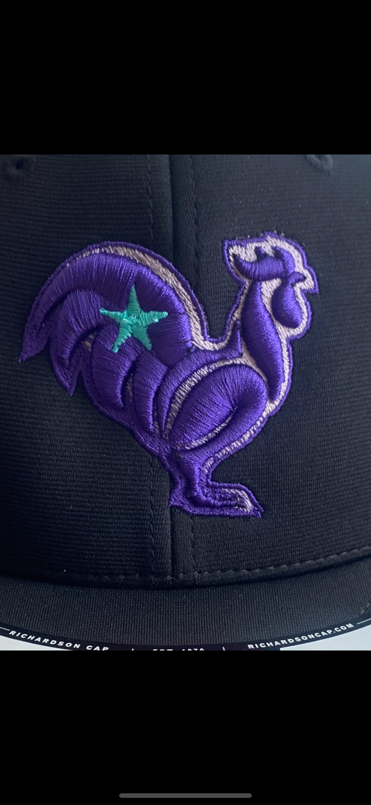 Black hat with purple rooster & ombré outline & teal star