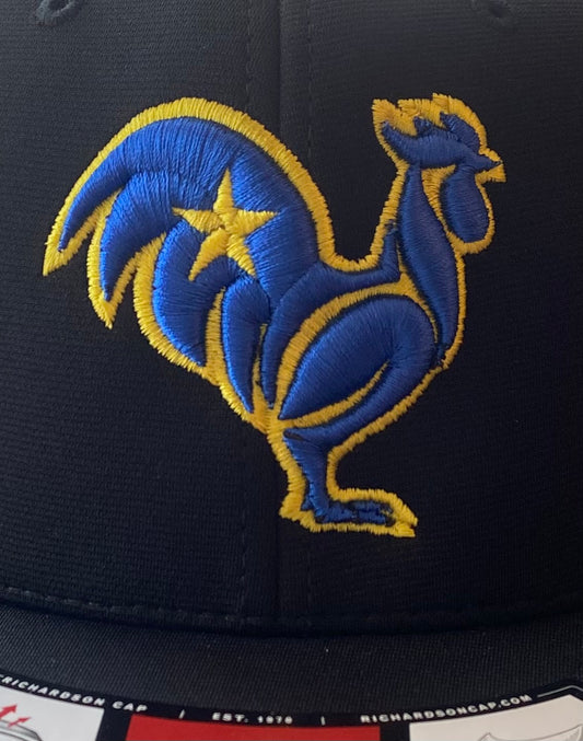 Blue rooster with yellow outline & star