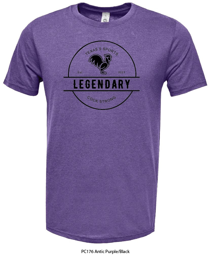 Purple/Black T-Shirt