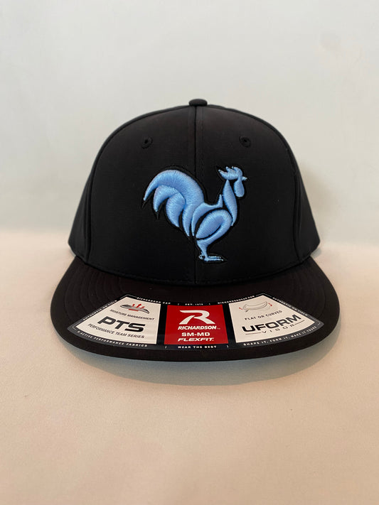 Columbia blue on black