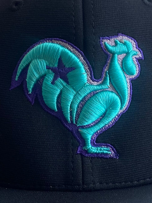 Black hat, teal rooster with purple ombré & star