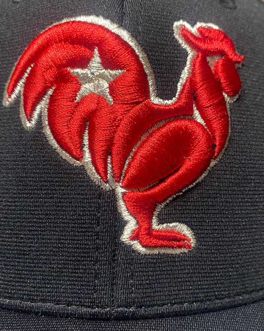 Red rooster with metallic silver outline & star on black