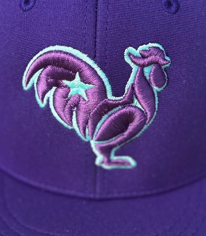 Purple hat purple rooster teal outline and star