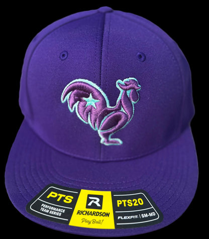 Purple hat purple rooster teal outline and star