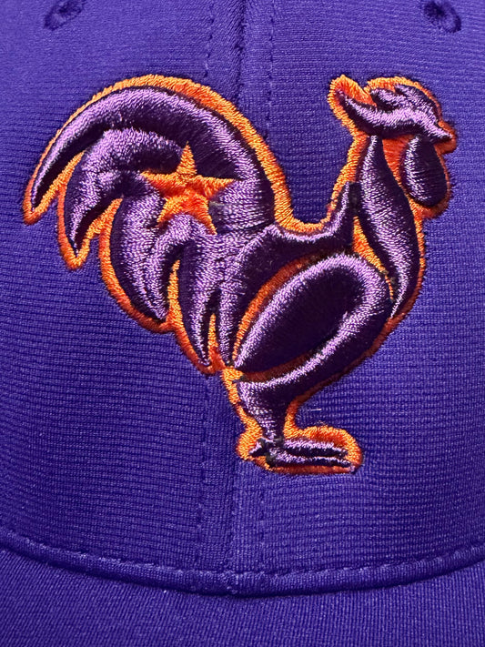 Purple hat purple rooster orange outline and star