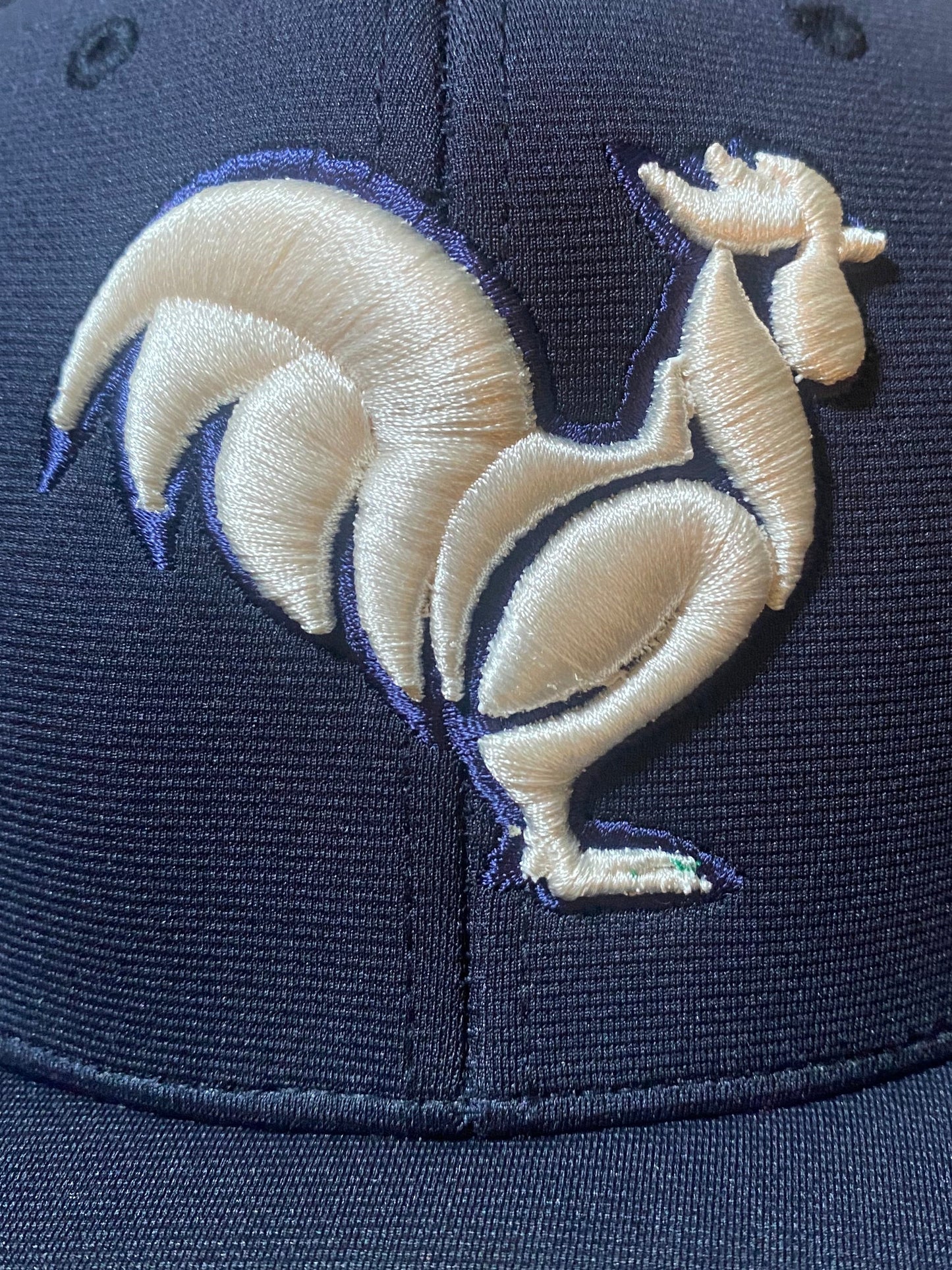 Navy with solid white