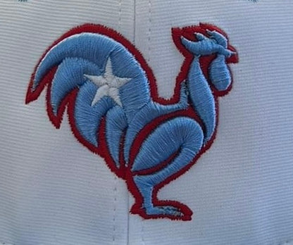 Blue rooster, red outline, white star